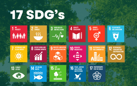 Impact Measurement & SDGs